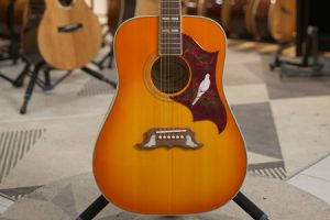 易普锋鸽子 二手99新