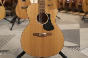 伊斯特曼PCH1 全新展琴