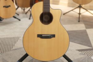 楚门海豚物语 二手98新