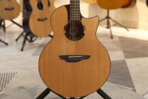 楚门海豚无语STL1900 二手95新