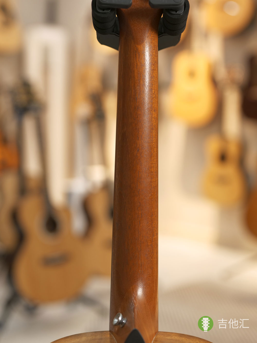 泰勒GS mini KOA 琴颈实拍图