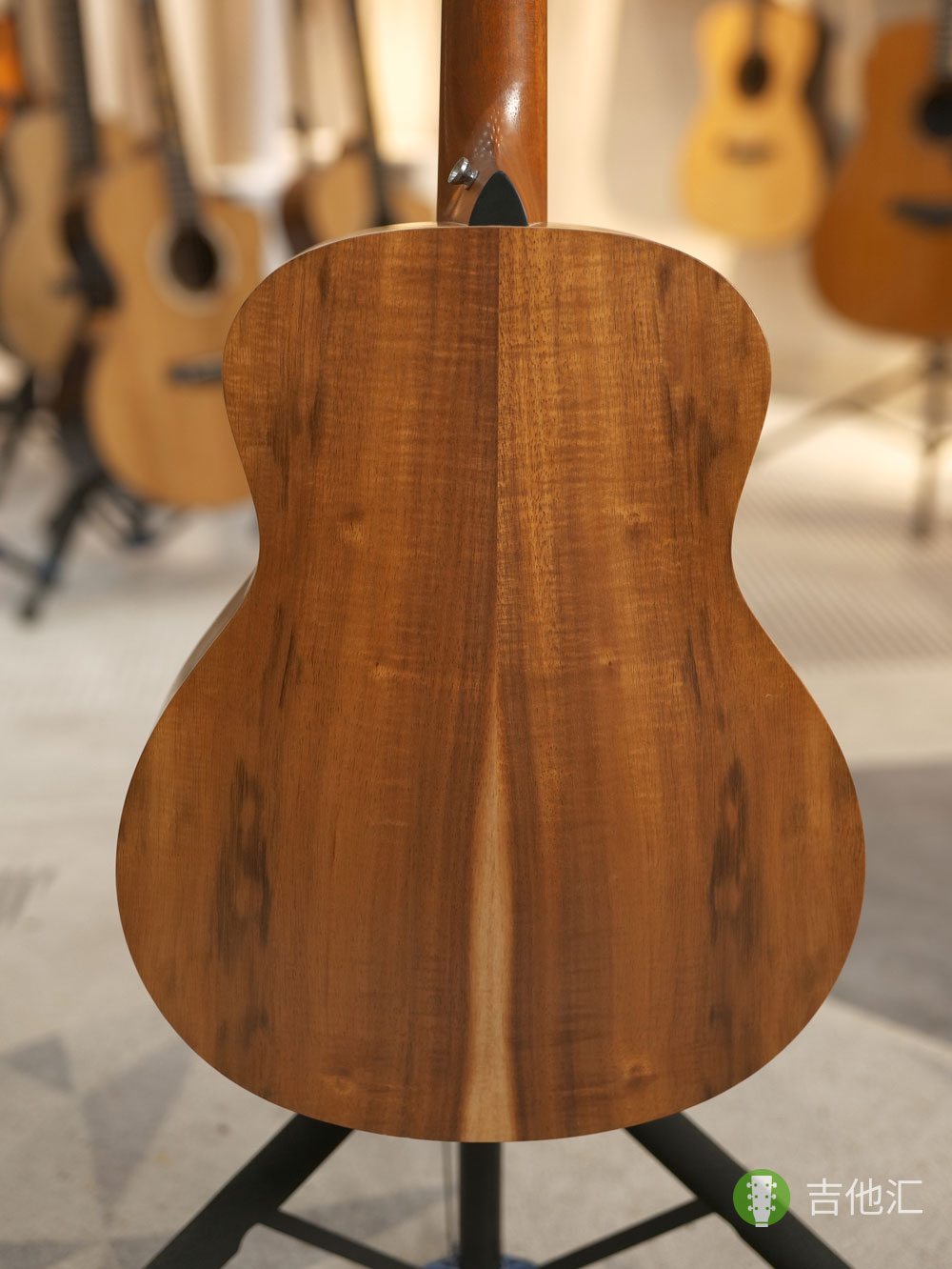 泰勒GS mini KOA 背板实拍图