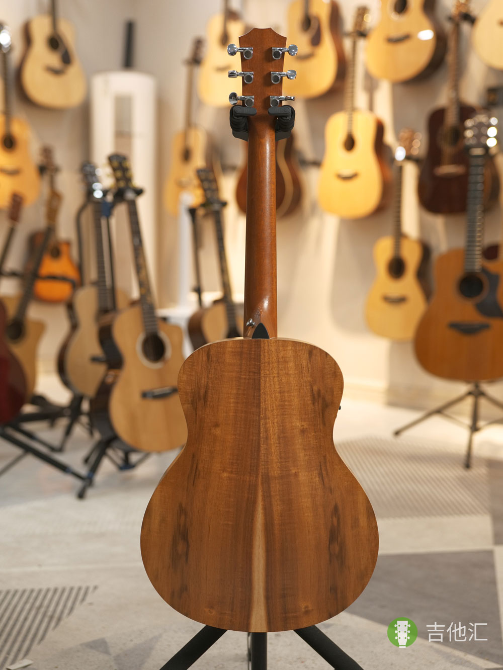 泰勒GS mini KOA 背面实拍图