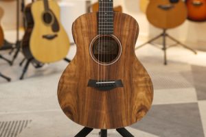 泰勒GS mini ekoa 二手99新