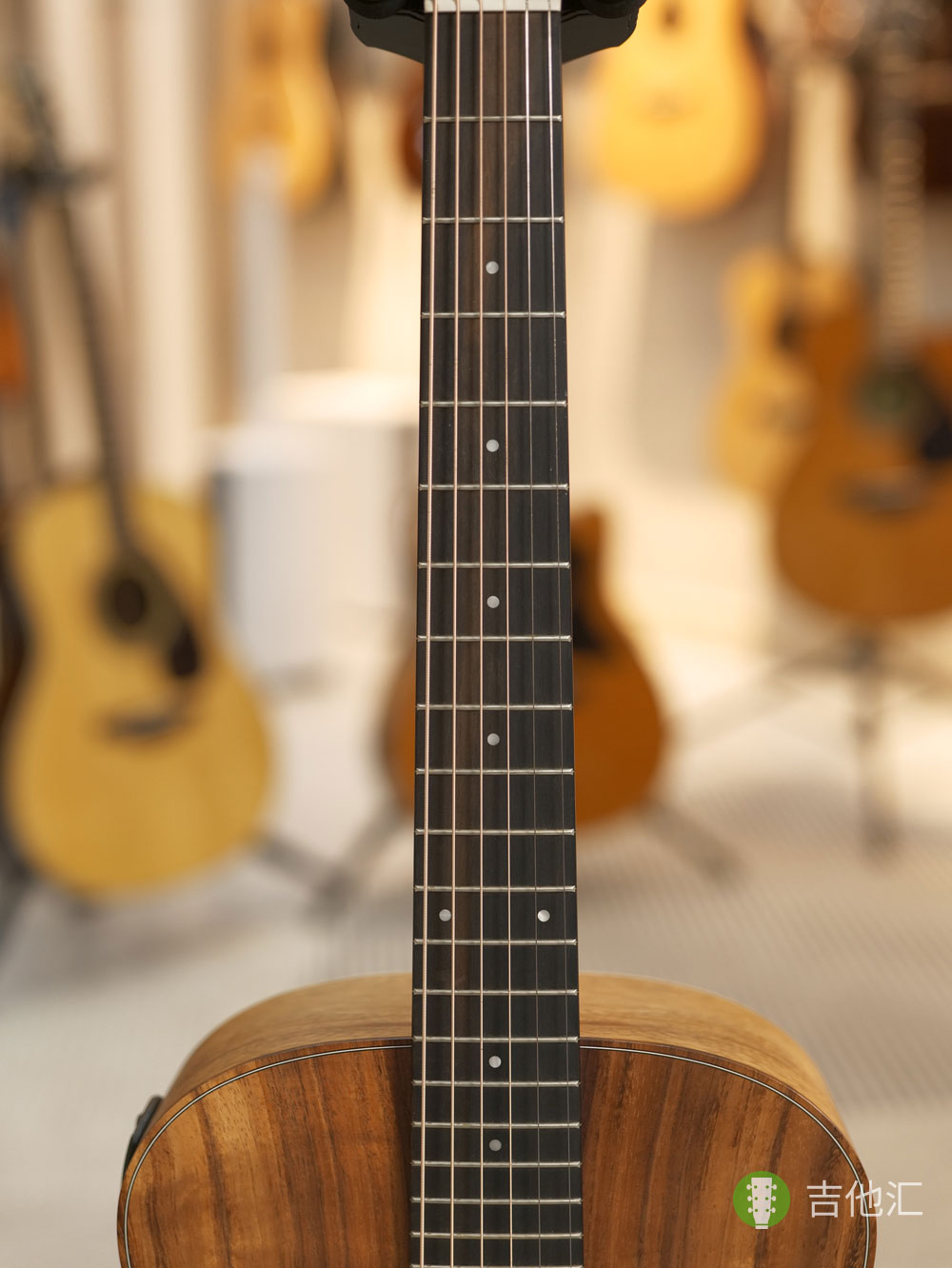 泰勒GS mini ekoa 指板实拍图