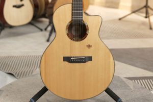 楚门海豚物语TF1900 二手95新