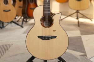 楚门海豚物语TPL1955 二手99新