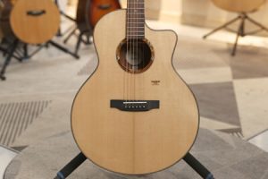 楚门海豚物语TPL1955 二手99新