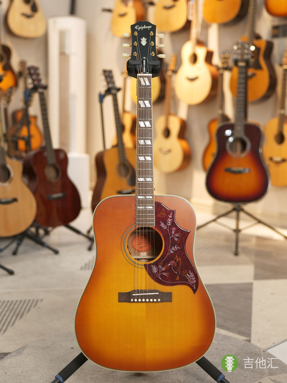 易普锋蜂鸟 正面实拍图