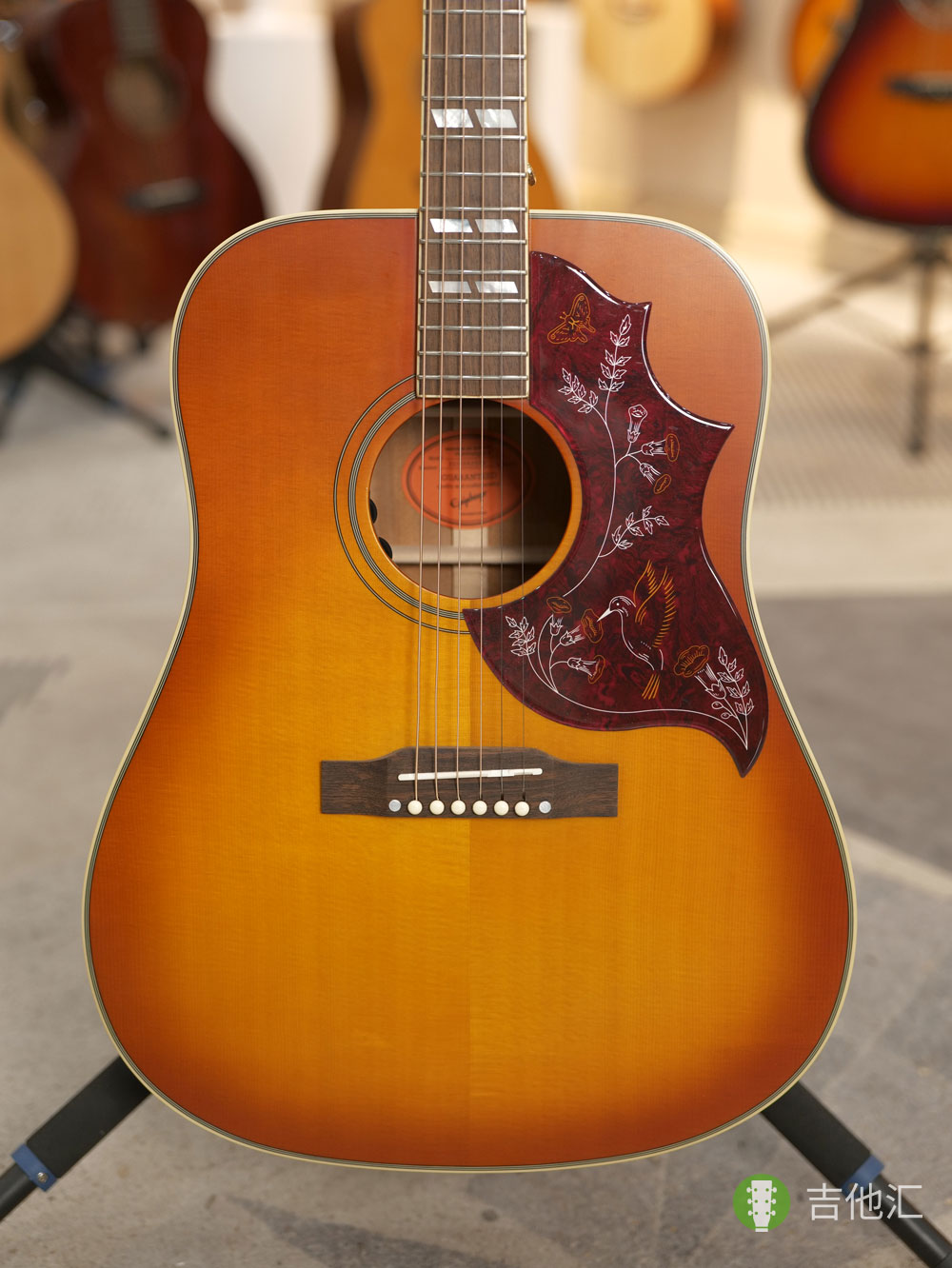 易普锋蜂鸟 面板实拍图