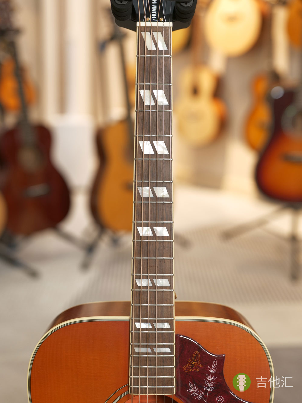 易普锋蜂鸟 指板实拍图