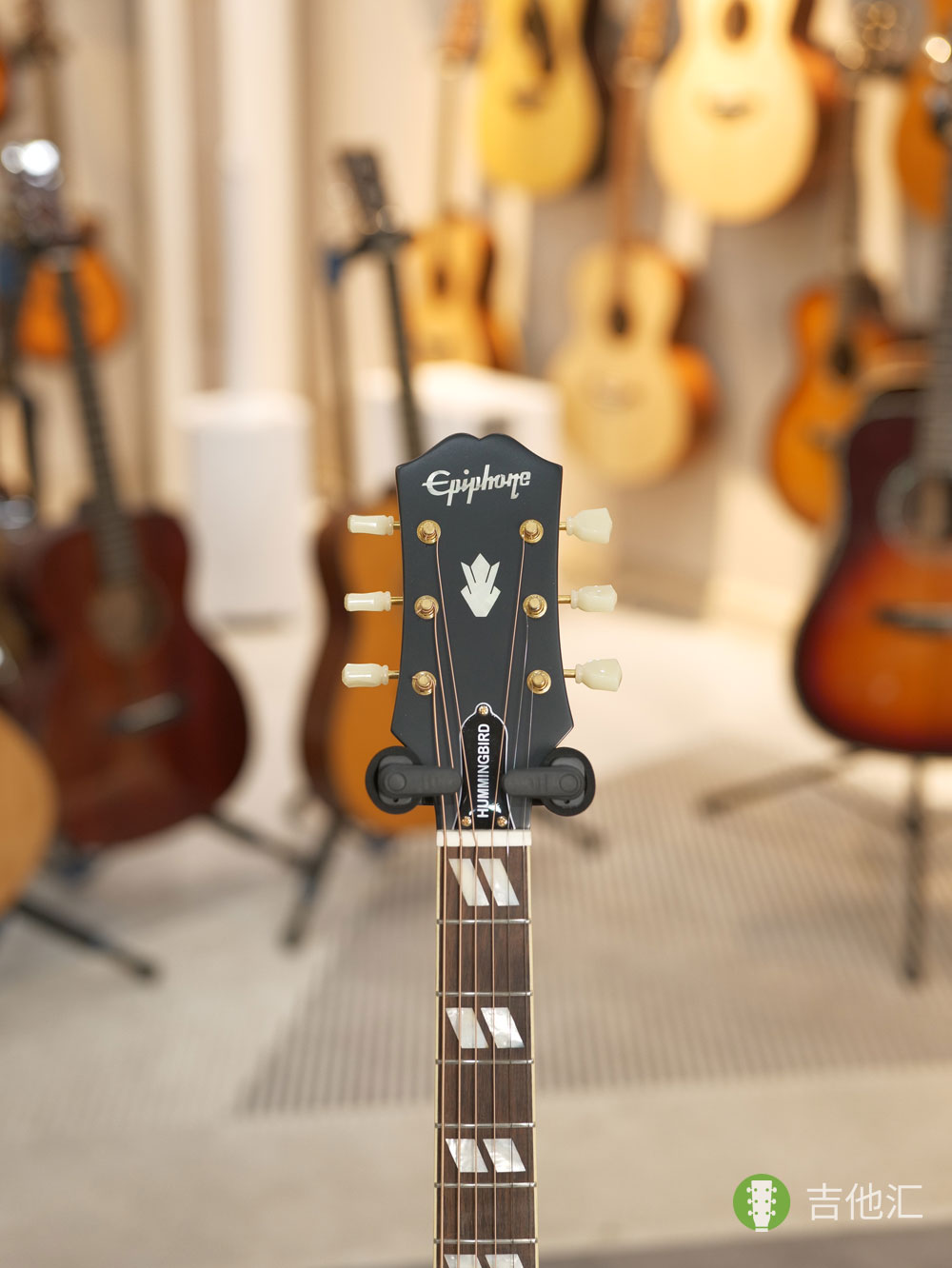 易普锋蜂鸟 琴头实拍图