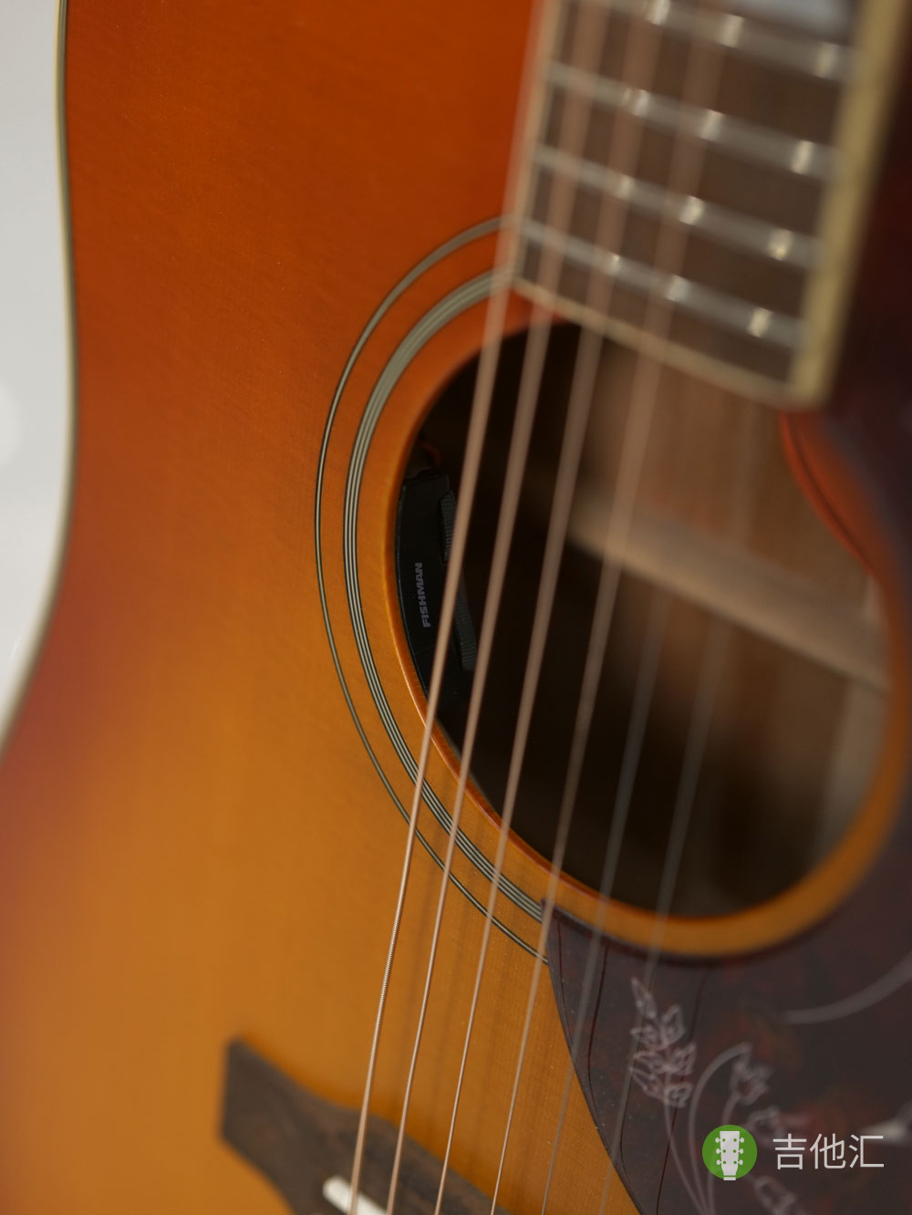 易普锋蜂鸟 拾音器实拍图