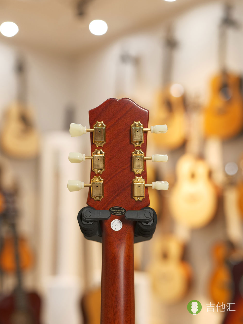 易普锋蜂鸟 弦钮实拍图