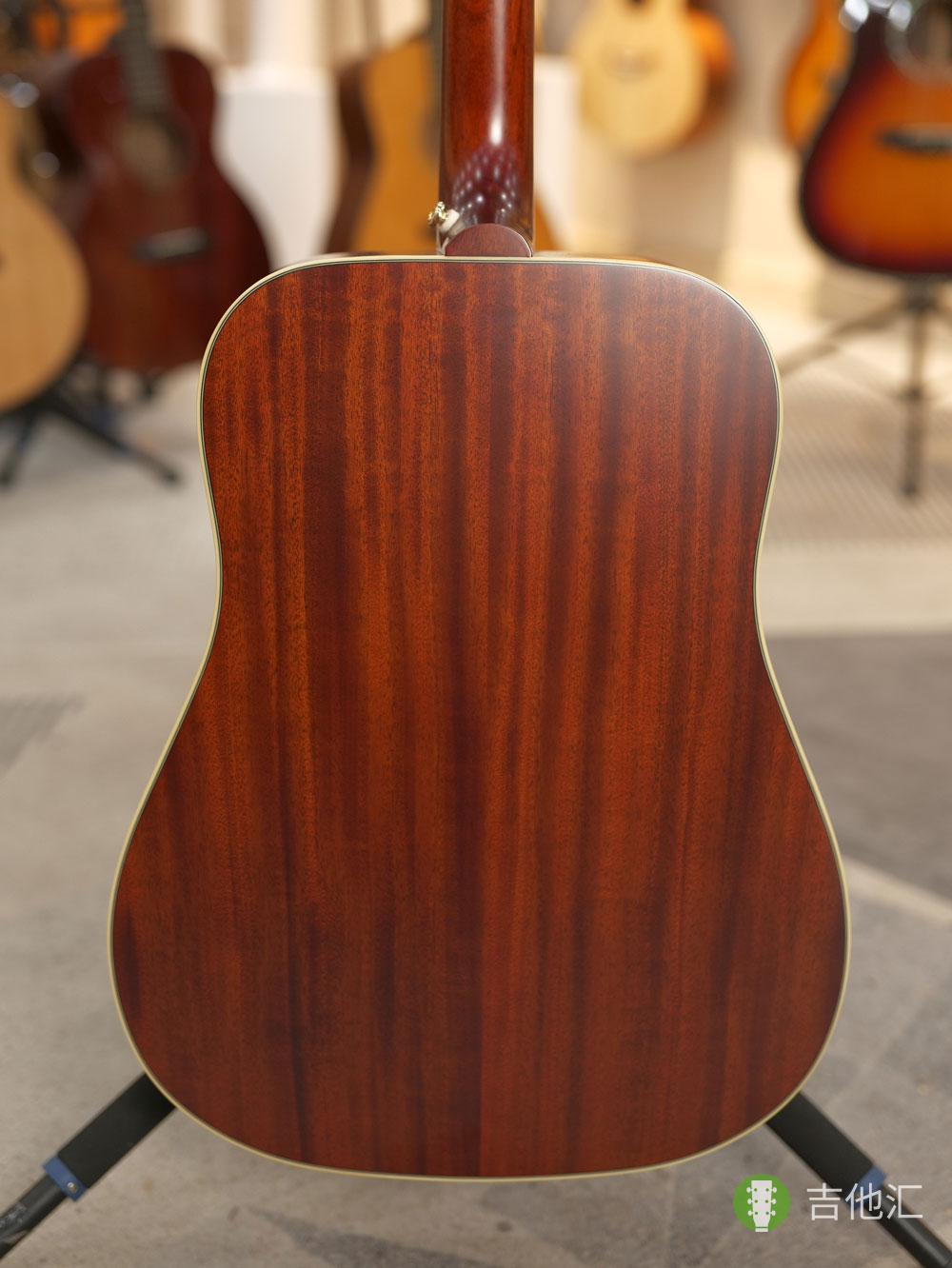 易普锋蜂鸟 背板实拍图