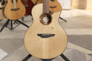 楚门海豚物语TFL1955 二手98新