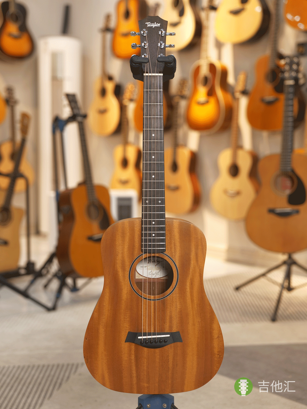 泰勒BT2 正面实拍图