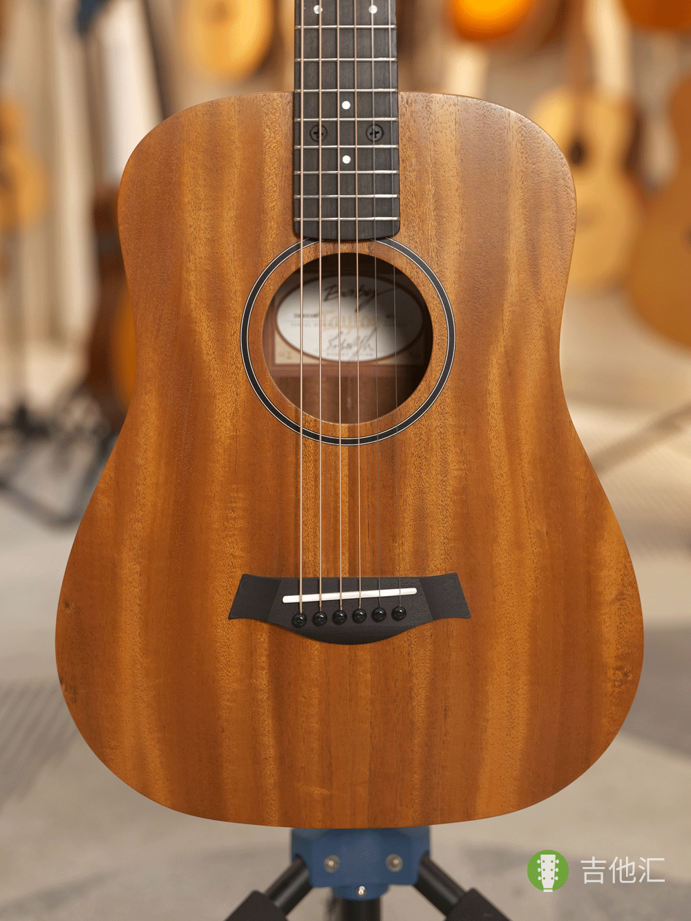 泰勒BT2 面板实拍图