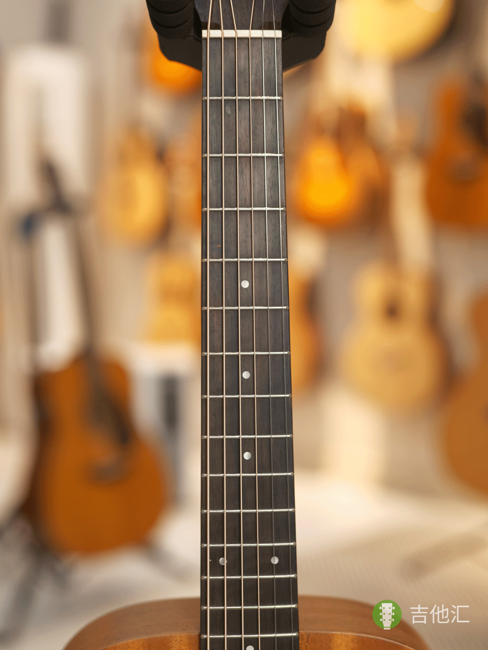 泰勒BT2 指板实拍图