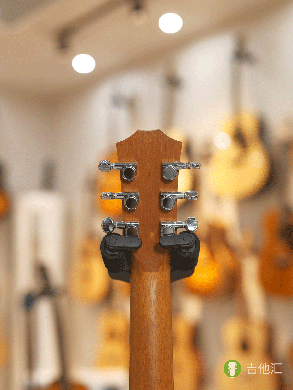 泰勒BT2 弦钮实拍图