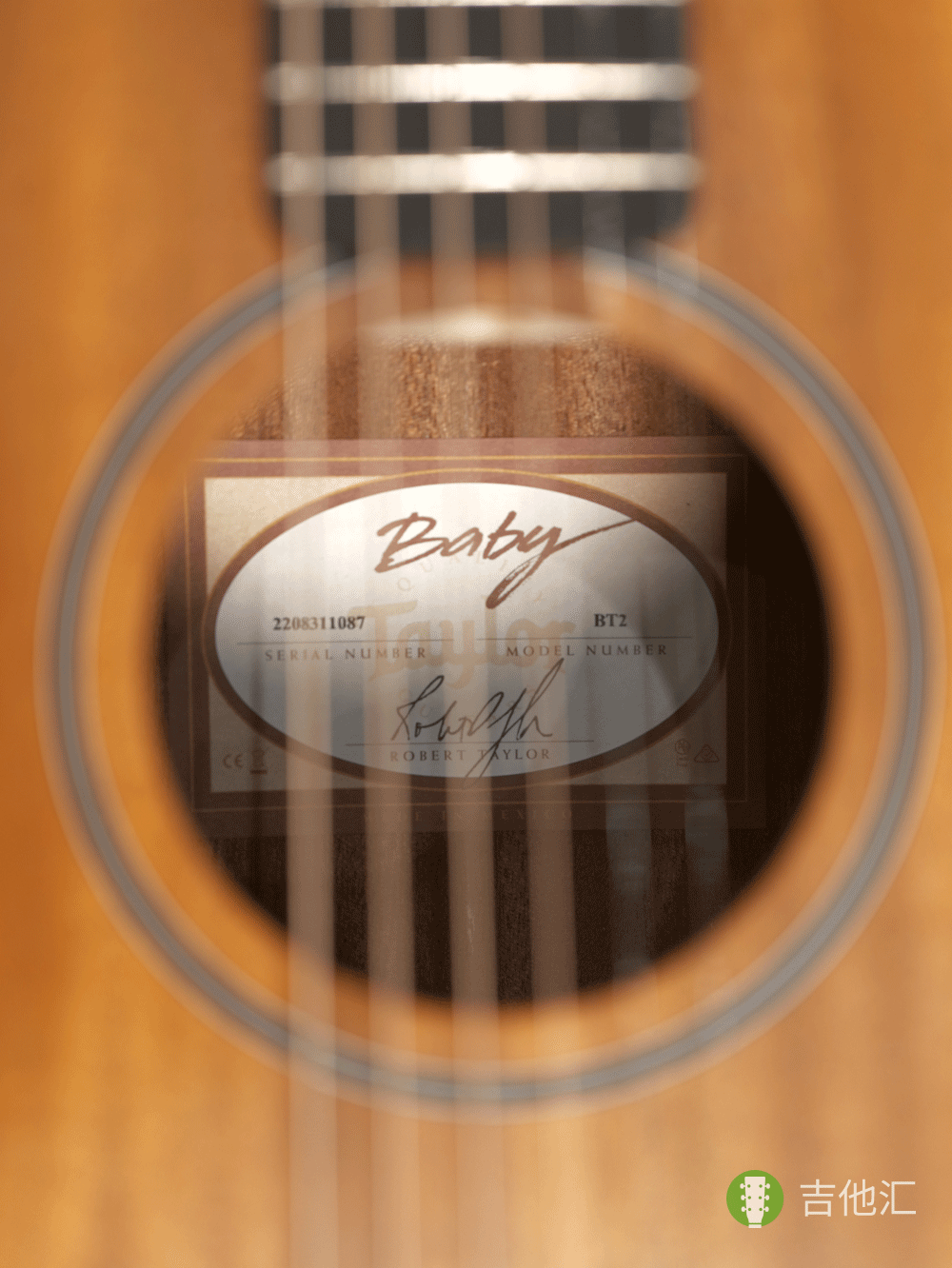 泰勒BT2 音孔编码实拍图