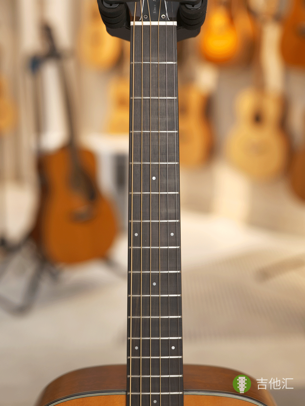 雅马哈FS3 指板实拍图