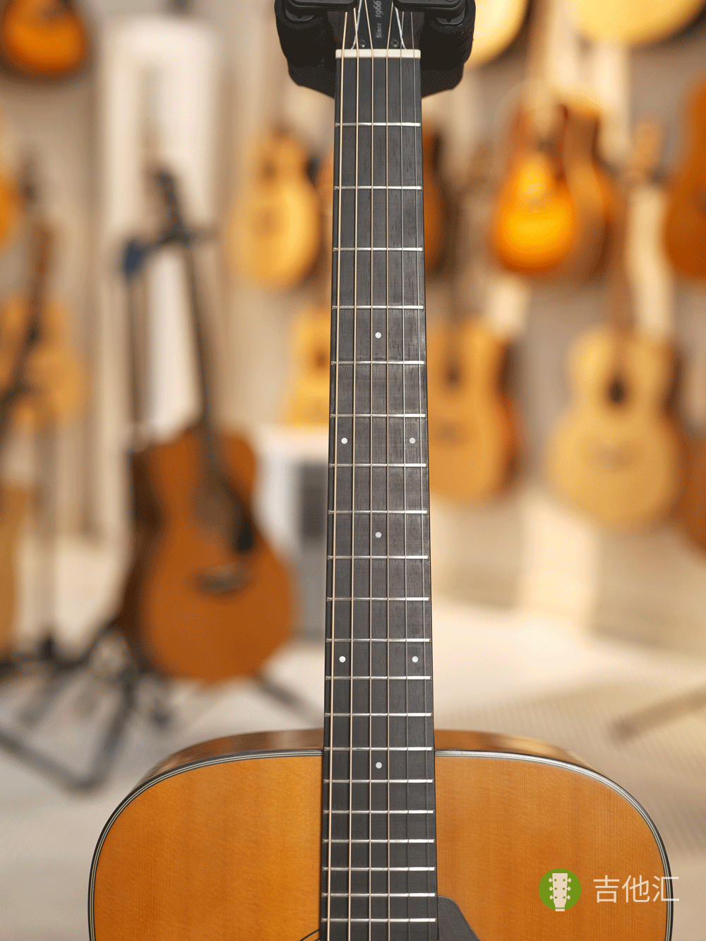 雅马哈FGX5 指板实拍图