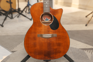 伊斯特曼PCH1 二手9成新