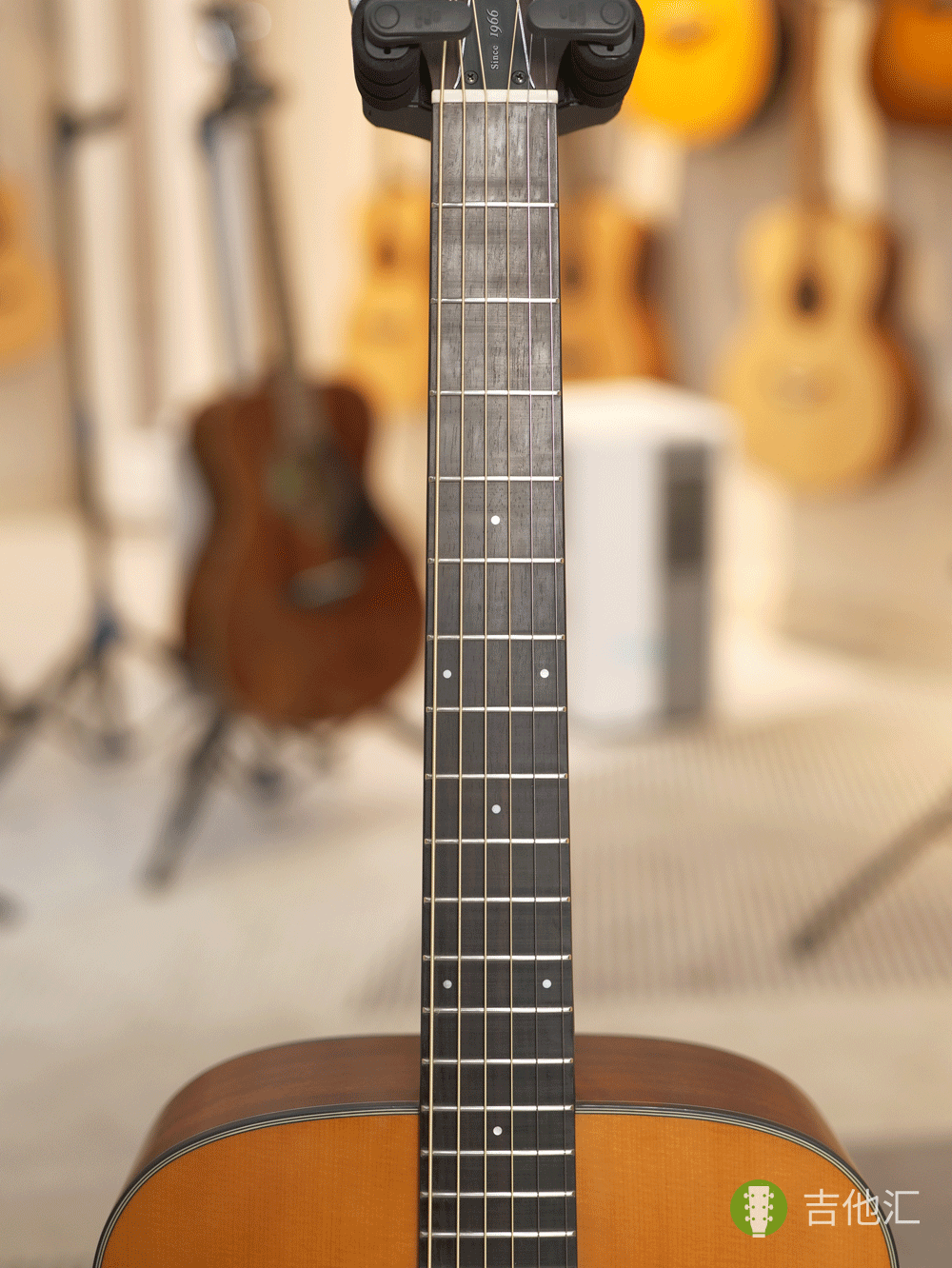 雅马哈FGX5 指板实拍图