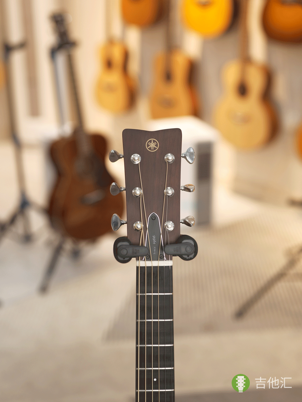 雅马哈FGX5 琴头实拍图