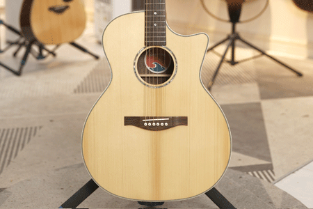 伊斯特曼PCH2 二手95新