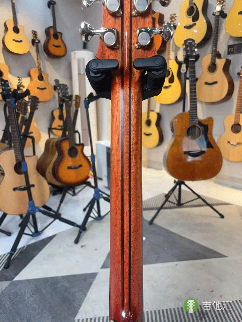 楚门海豚物语TFL1955 琴颈实拍图