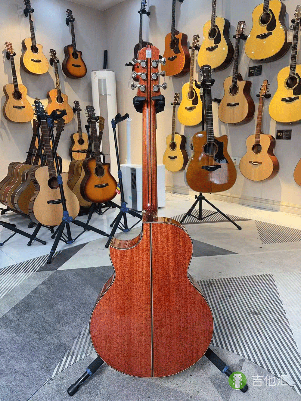 楚门海豚物语TFL1955 背面实拍图