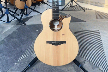 楚门海豚物语TFL1955 二手98新