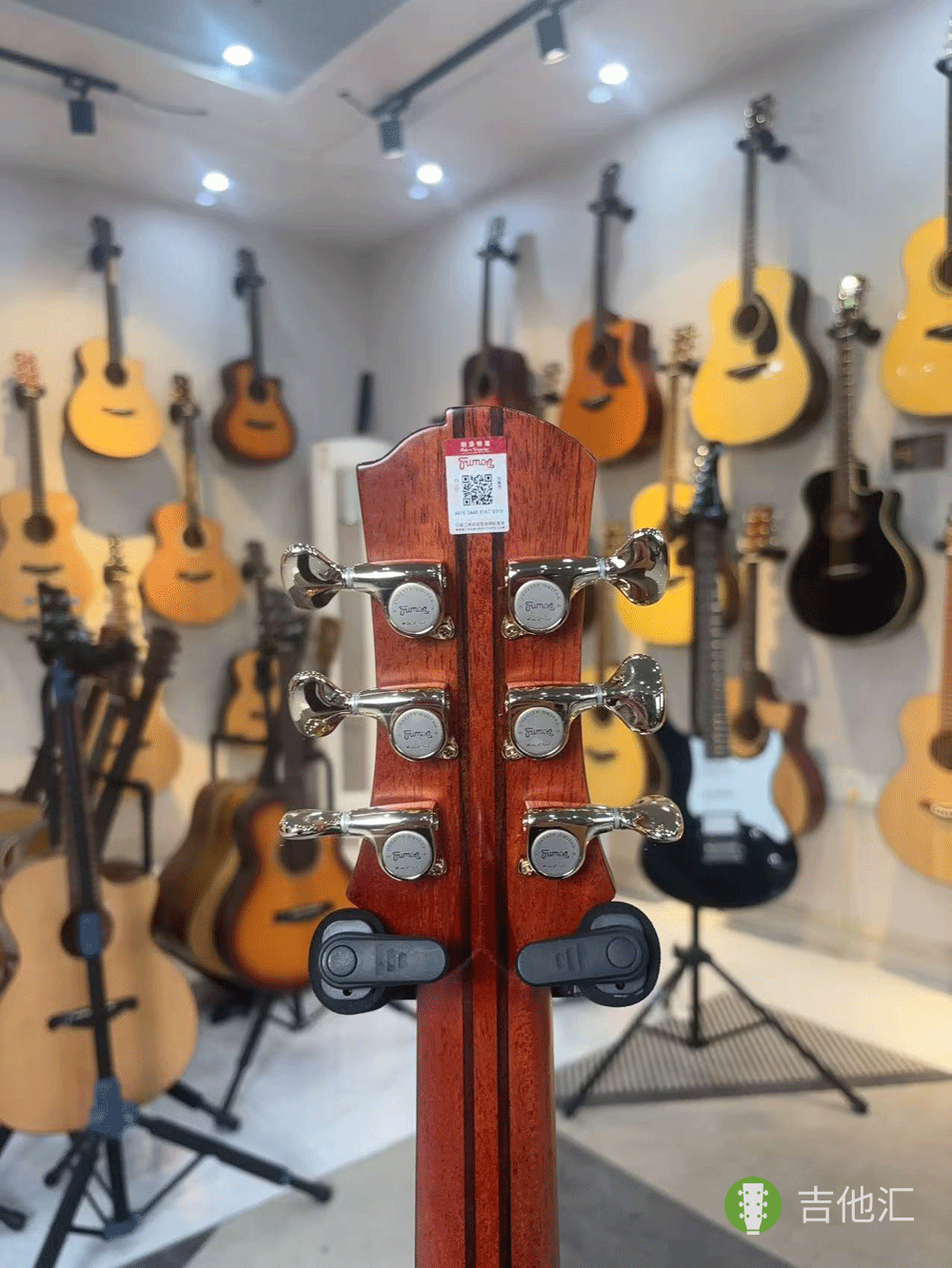 楚门海豚物语TFL1955 弦钮实拍图