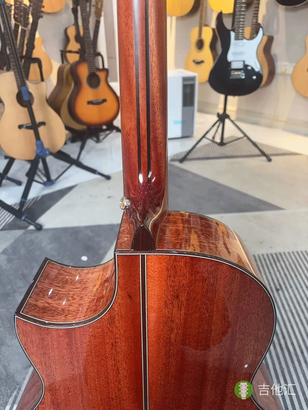 楚门海豚物语TFL1955 琴颈接柄处实拍图
