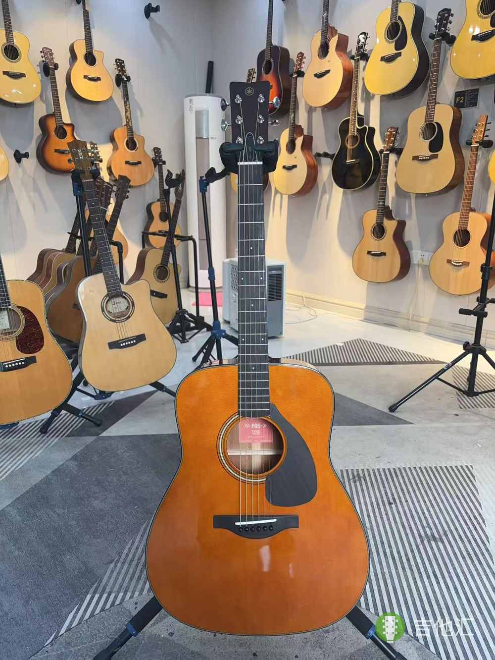 雅马哈FG5 正面实拍图